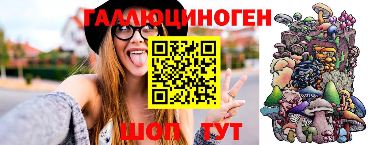 Псилоцибиновые грибы GOLDEN TEACHER Северобайкальск