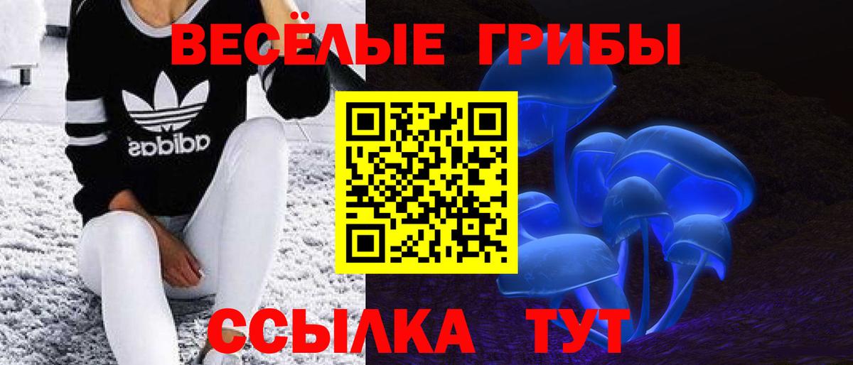 Псилоцибиновые грибы MAGIC MUSHROOMS  Галлюциногенные грибы прущие грибы  Вход с VPN  Северобайкальск 